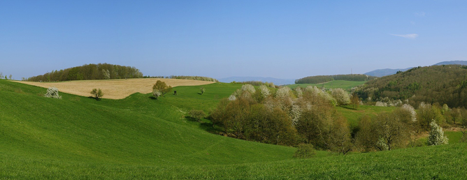 bild_kulturlandschaftsbeittrage_ab21_foto_kulturlandschaft.png