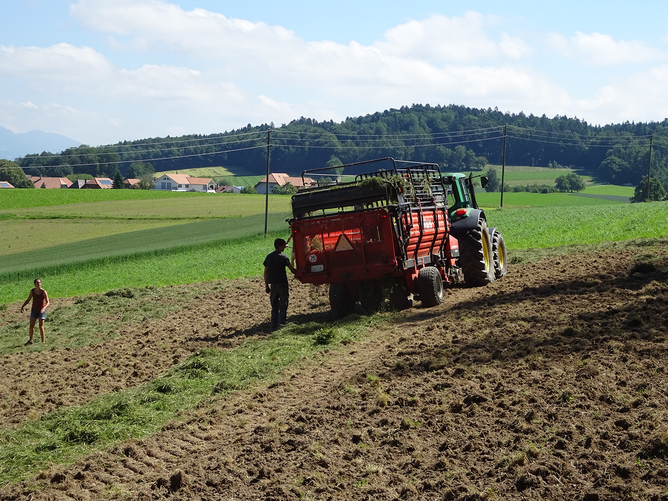 gestion_prairies_enherbement_direct_photo.png