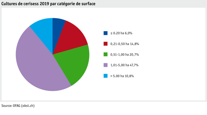 Zoom: ab21_produktion_pflanzli_produktion_grafik_kirschenanbau_flaeche_flaechenkat_2019_f.png