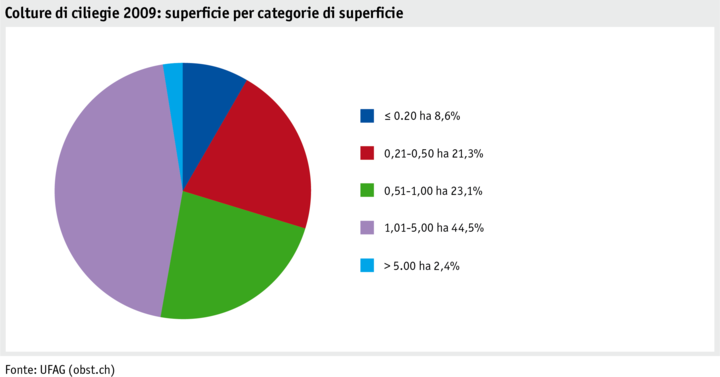 Zoom: ab21_produktion_pflanzli_produktion_grafik_kirschenanbau_flaeche_flaechenkat_2009_i.png