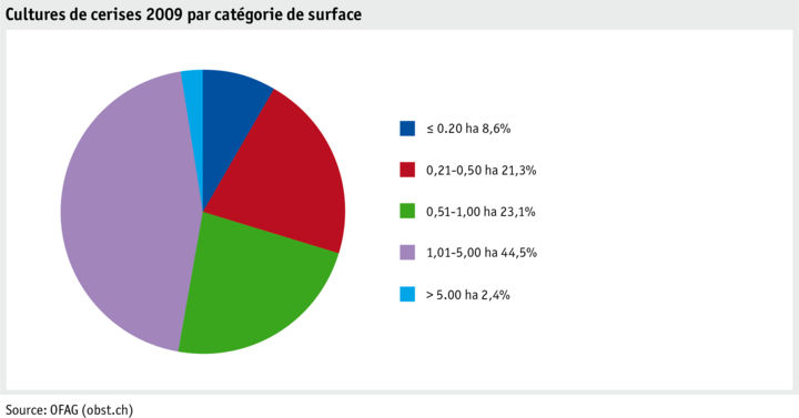 Zoom: ab21_produktion_pflanzli_produktion_grafik_kirschenanbau_flaeche_flaechenkat_2009_f.png