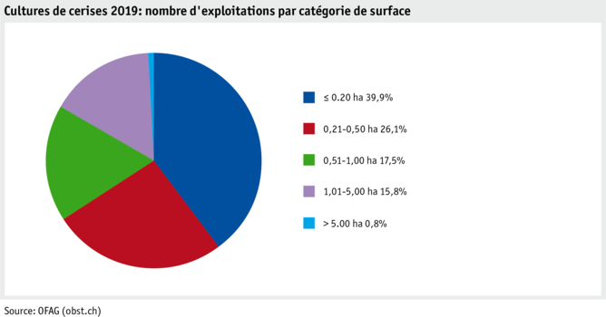 Zoom: ab21_produktion_pflanzli_produktion_grafik_kirschenanbau_betriebe_flaechenkat_2019_f.png