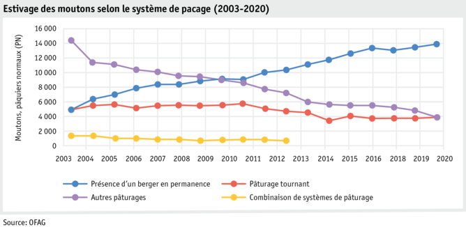 ab21_betrieb_strukturen_grafik_schafsoemmerung_f.png