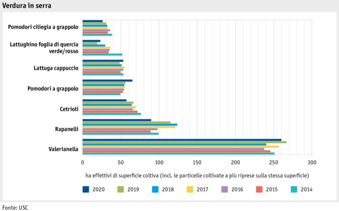 Zoom: ab21_produktion_pflanzli_produktion_grafik_gewachshausgemuseanbau_nach_flachen_i.png