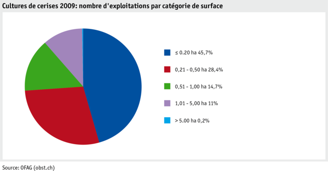 Zoom: ab21_produktion_pflanzli_produktion_grafik_kirschenanbau_betriebe_flaechenkat_2009_f.png